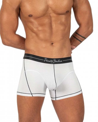 Buy Sexy Low Waist Mens Underwear Nylon Striped Transparent Boxer