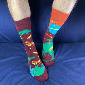 Half Socks - Dinosaur [4143]