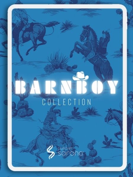 BarnBoy Collection
