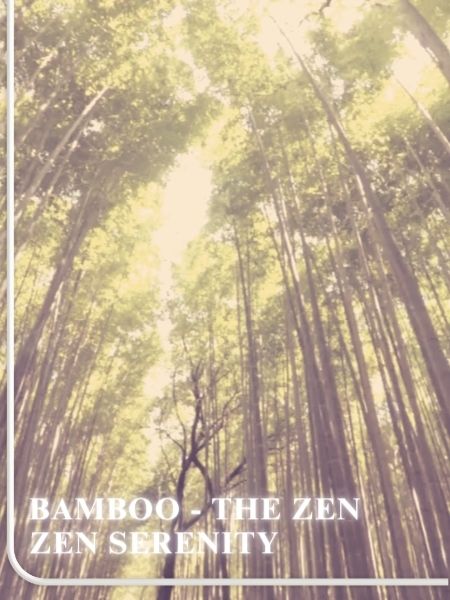 Bamboo - The Zen Zen Serenity